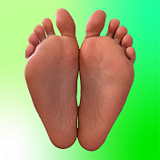triixiesoles