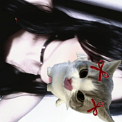 RedGifs profile picture for @mishell