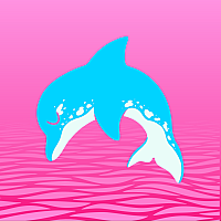mrdolphin